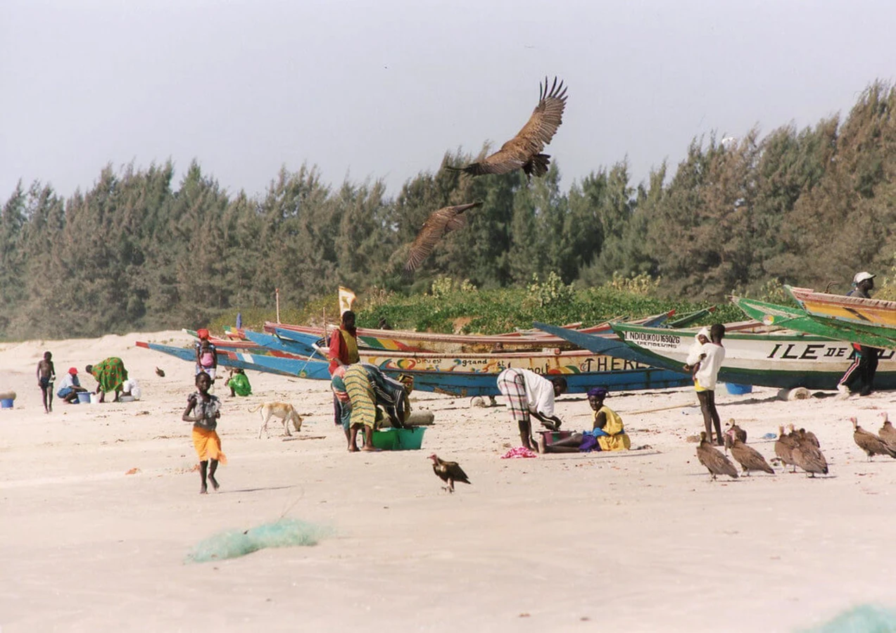 Cap Skirring, Sénégal