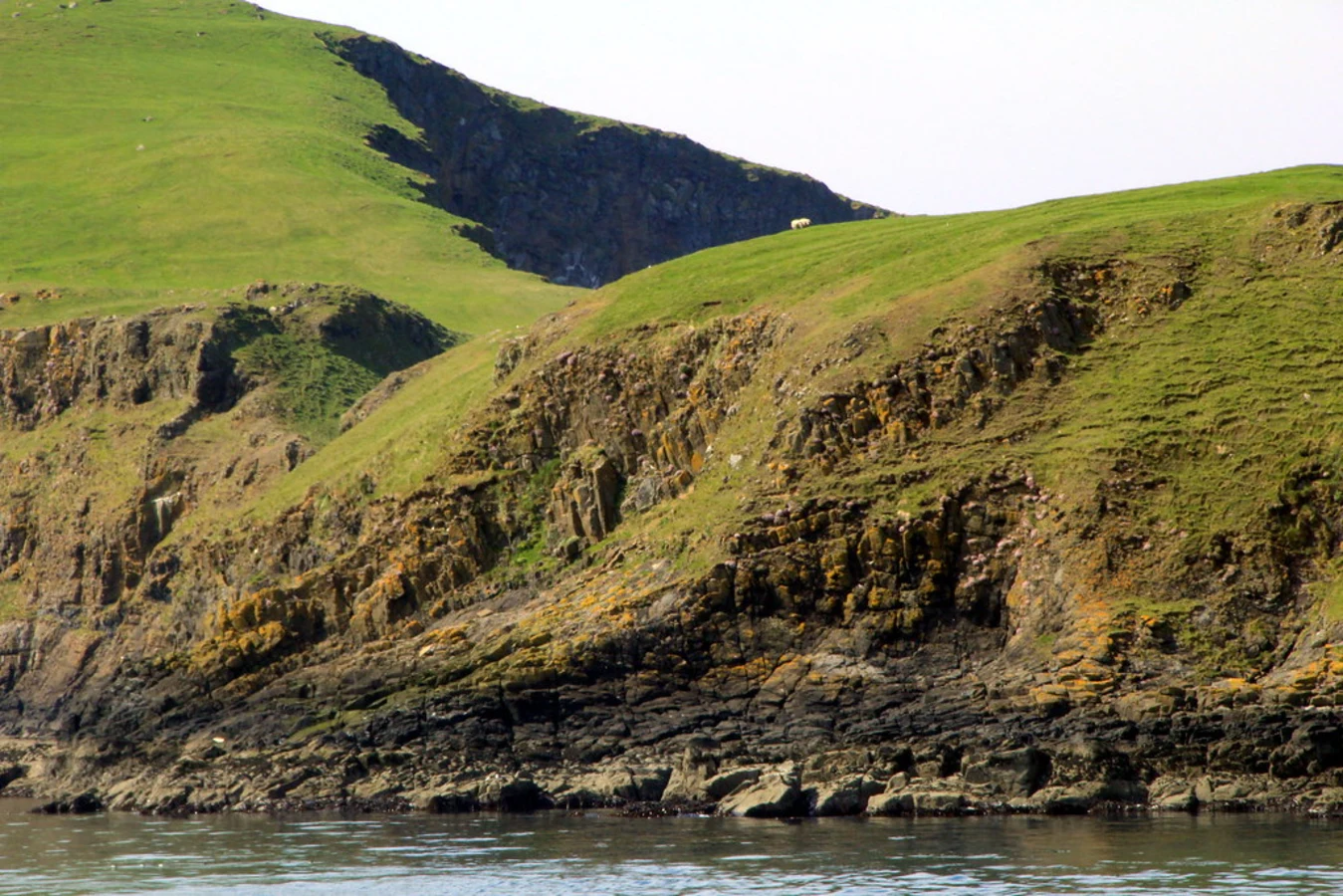 Eilean Mhuire, Écosse