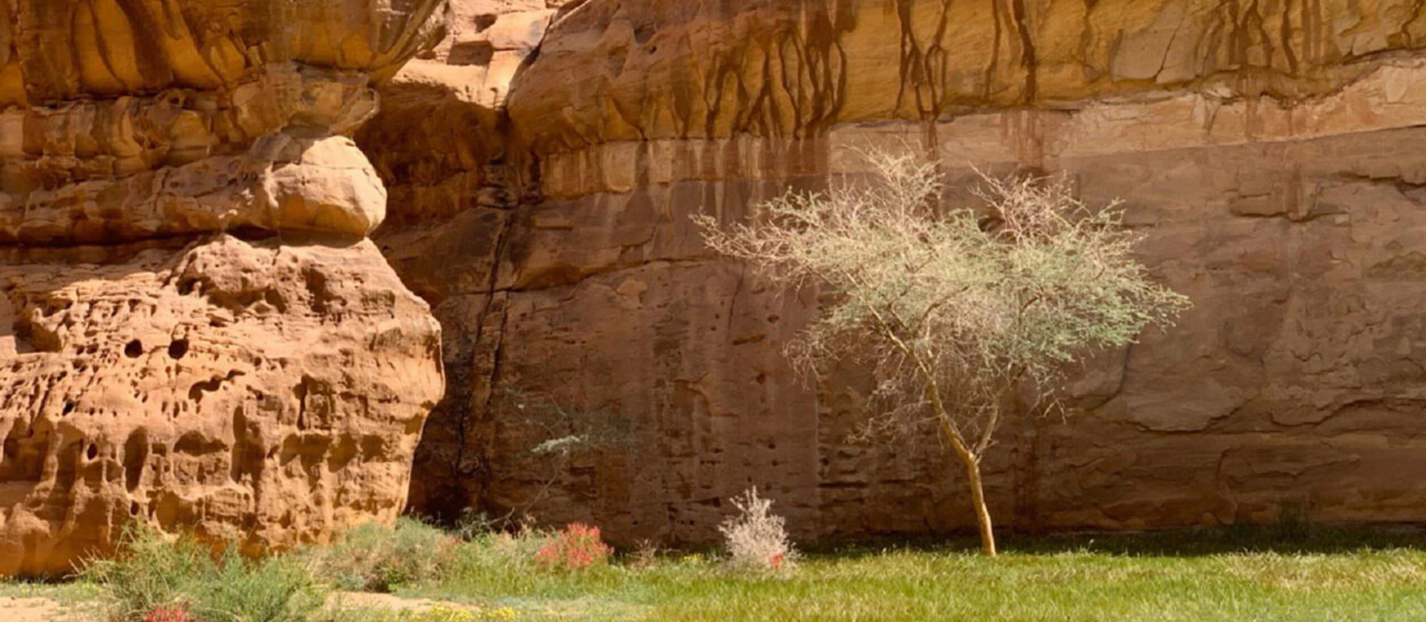 Réserve naturelle de Sharaan, Arabie saoudite
