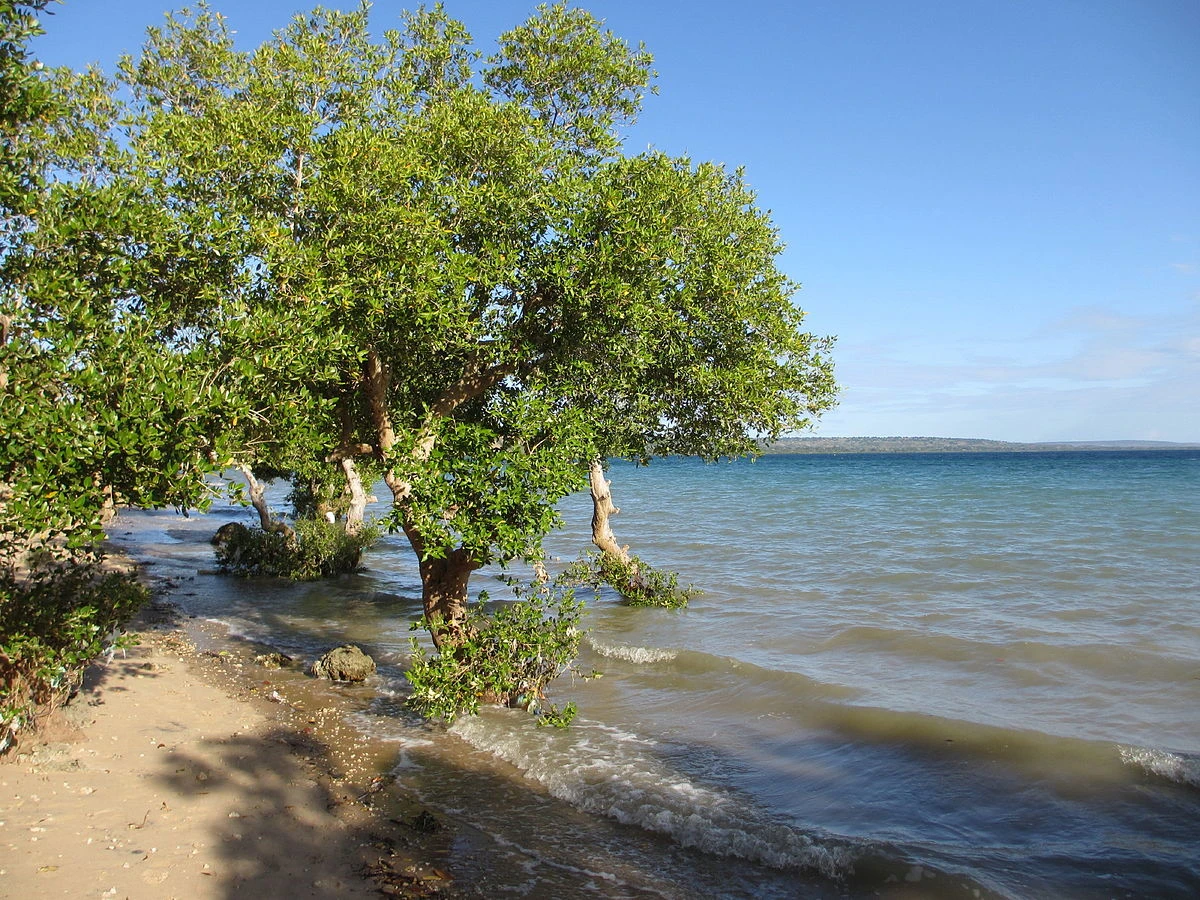 Parc national des Quirimbas, Mozambique