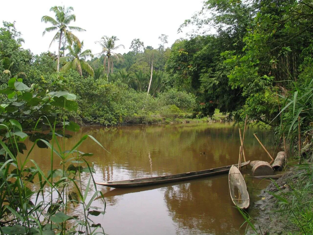Siberut, Indonésie