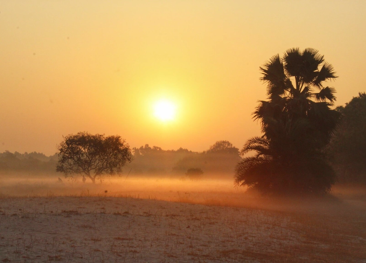 Fôret de mangrove des Sundarbans, Bangladesh