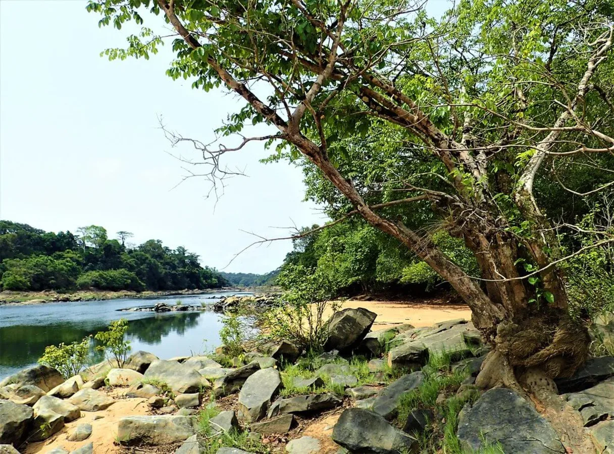 Rivière Moa, Sierra Leone, Sierra Leone