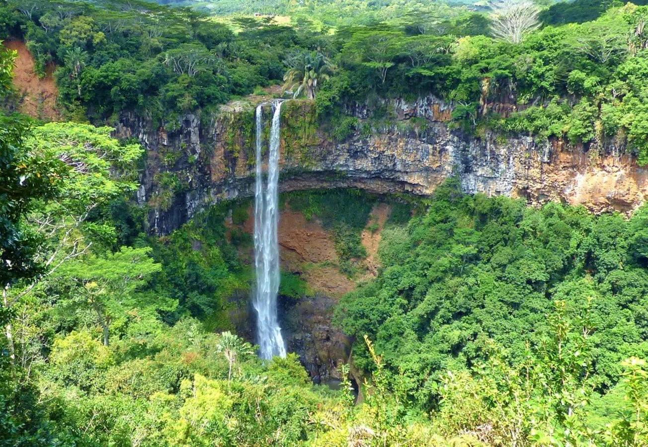 Parc national des gorges de Rivière Noire, Maurice