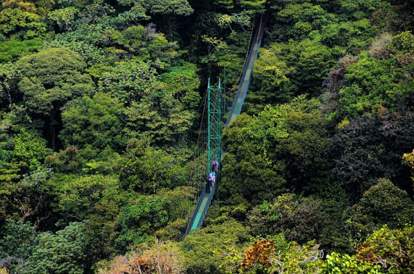 Réserve biologique de Monteverde, Costa Rica, Costa Rica