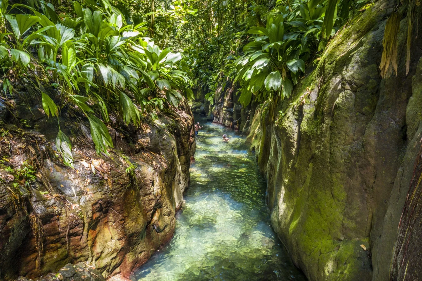 Canyon Moustique, Guadeloupe