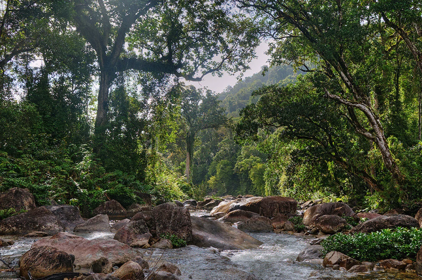 Parc national de Masoala, Madagascar