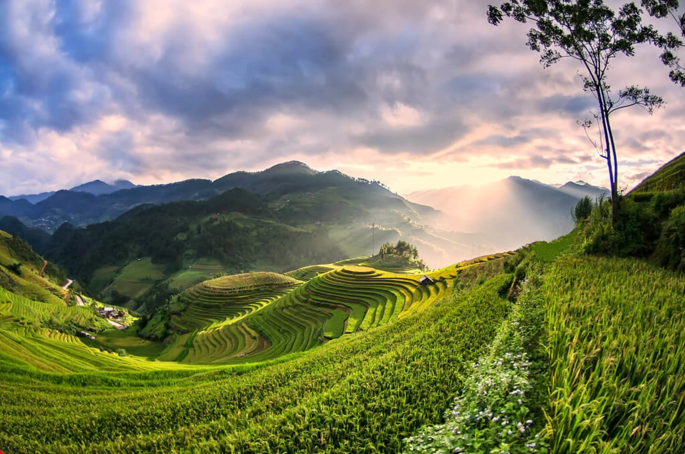 Mu Cang Chai, Vietnam