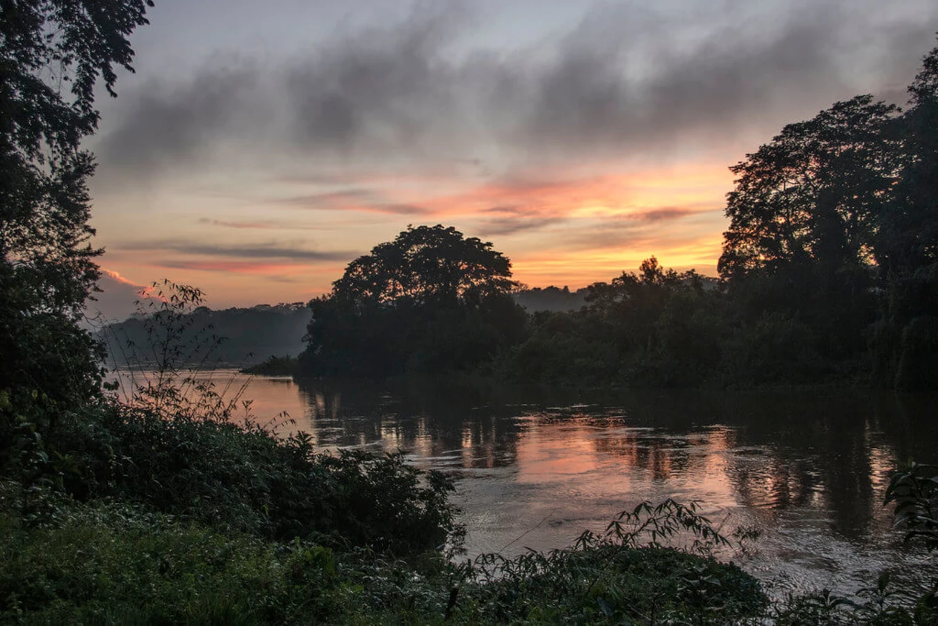 Parc national de Nouabalé-Ndoki, République du Congo