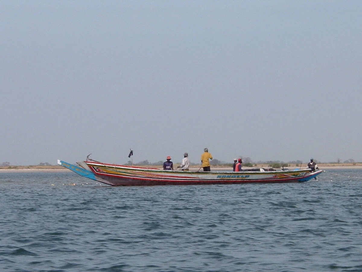 Parc national du delta du Saloum, Sénégal
