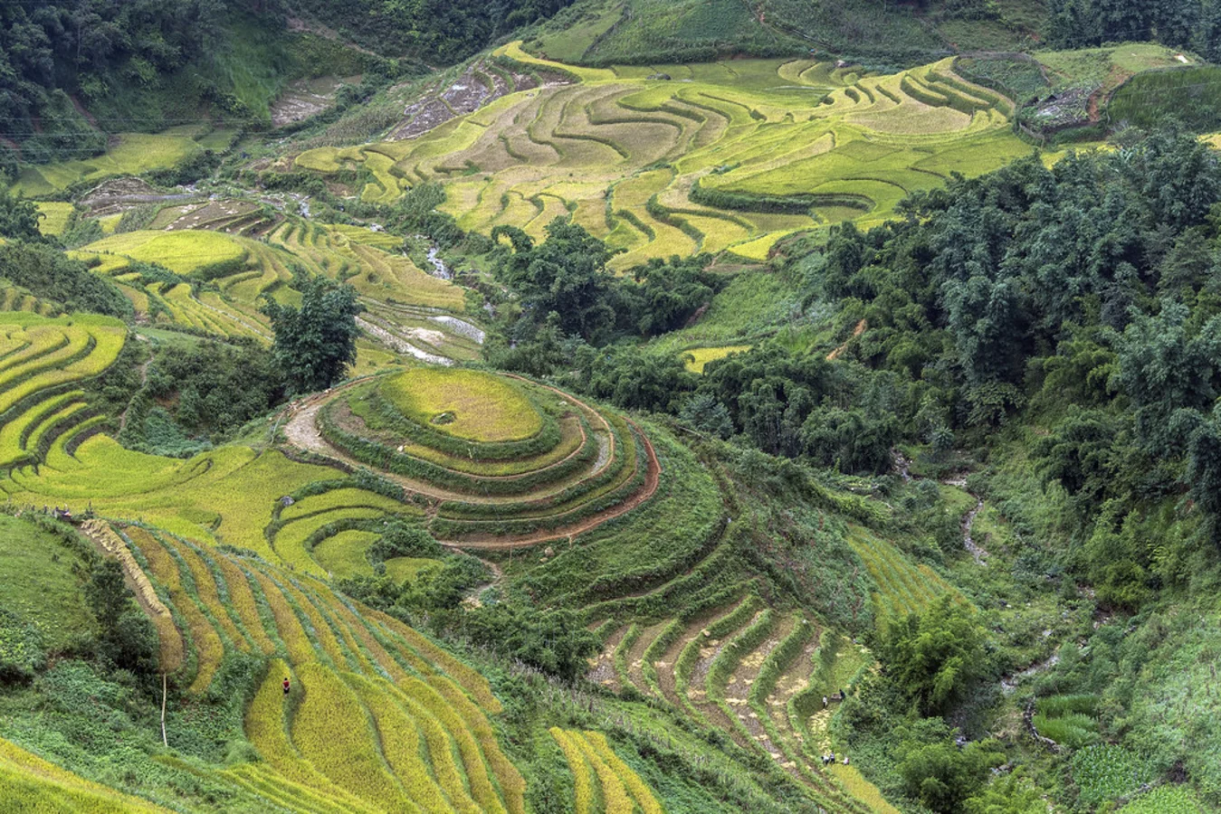Sa Pa, Vietnam
