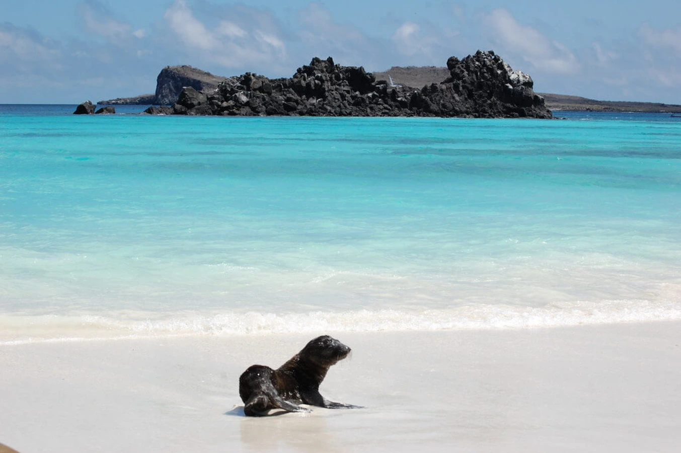 Îles Galapagos, Équateur, Îles Galápagos