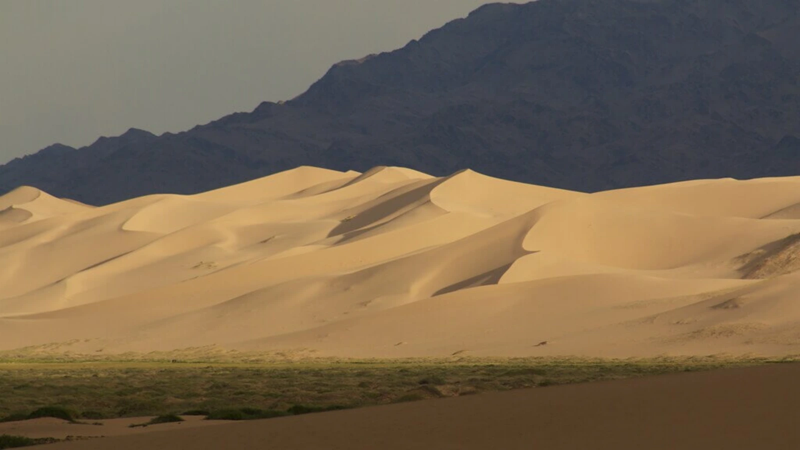 Dunes de Khongor, Mongolie