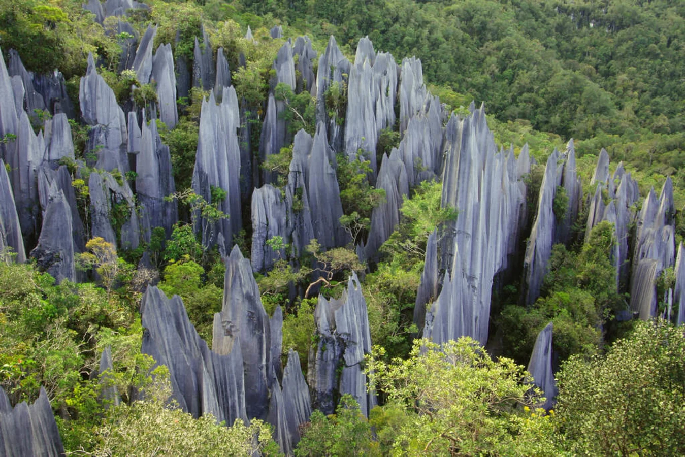 Gunung Api, Malaisie