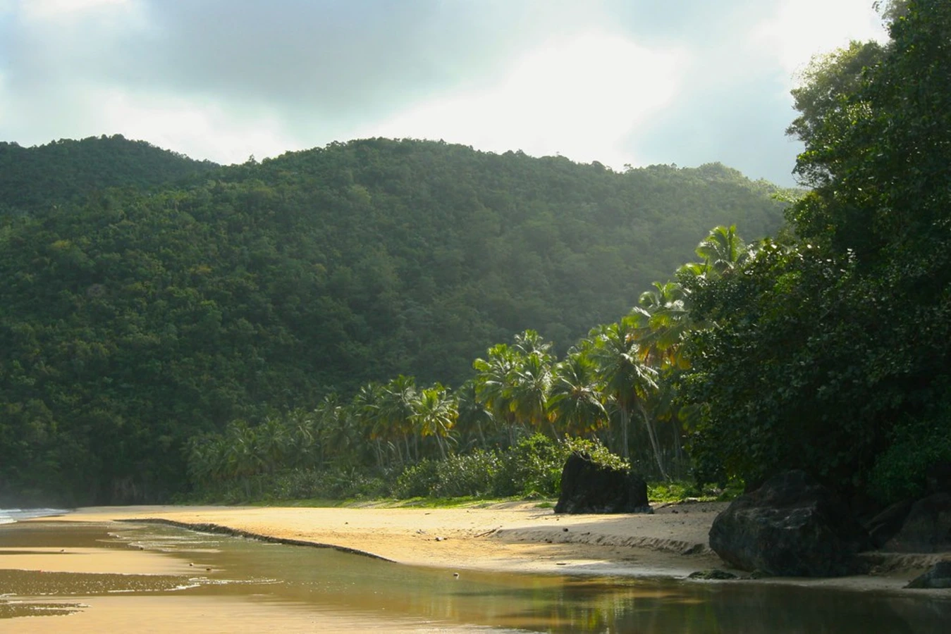 Playa El Valle, République dominicaine