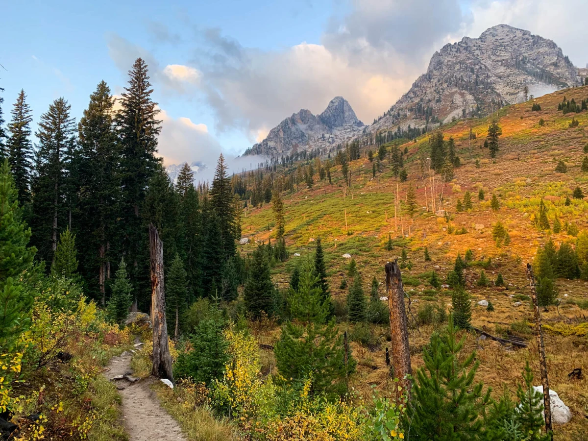 Paintbrush Canyon, États-Unis