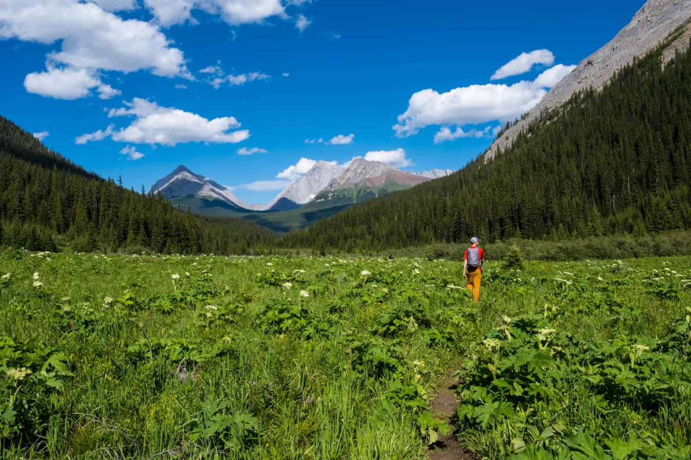 Smutwood Peak Trailhead, Canada