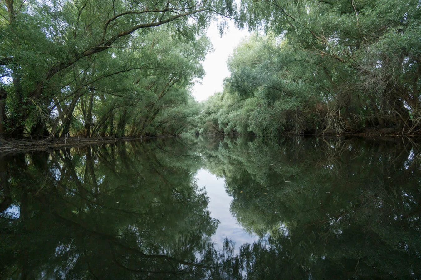 Delta du Danube, Roumanie, Ukraine