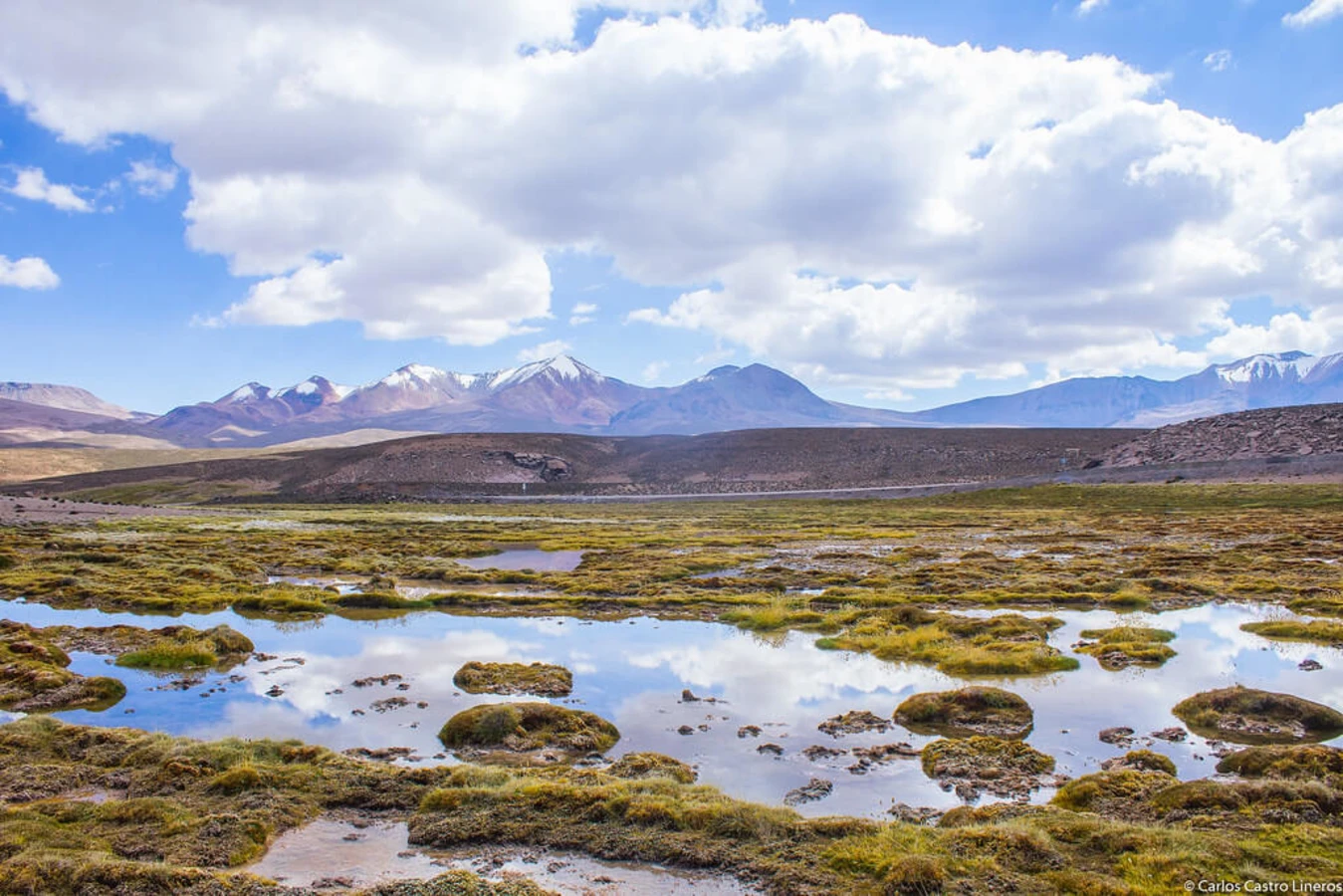 Parinacota, Chili, Bolivie