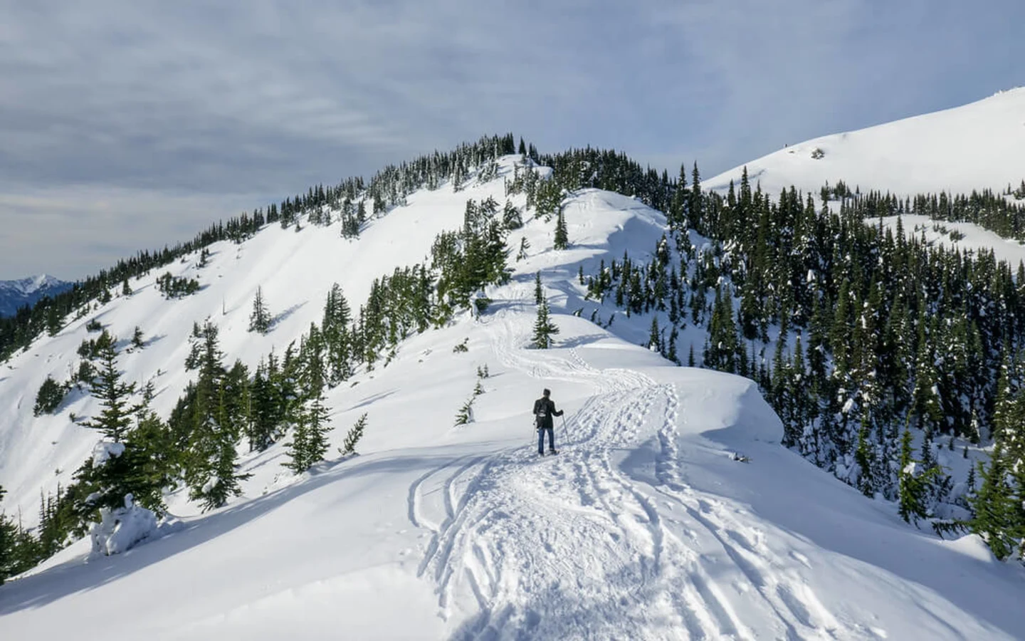 Parc national Olympique, États-Unis