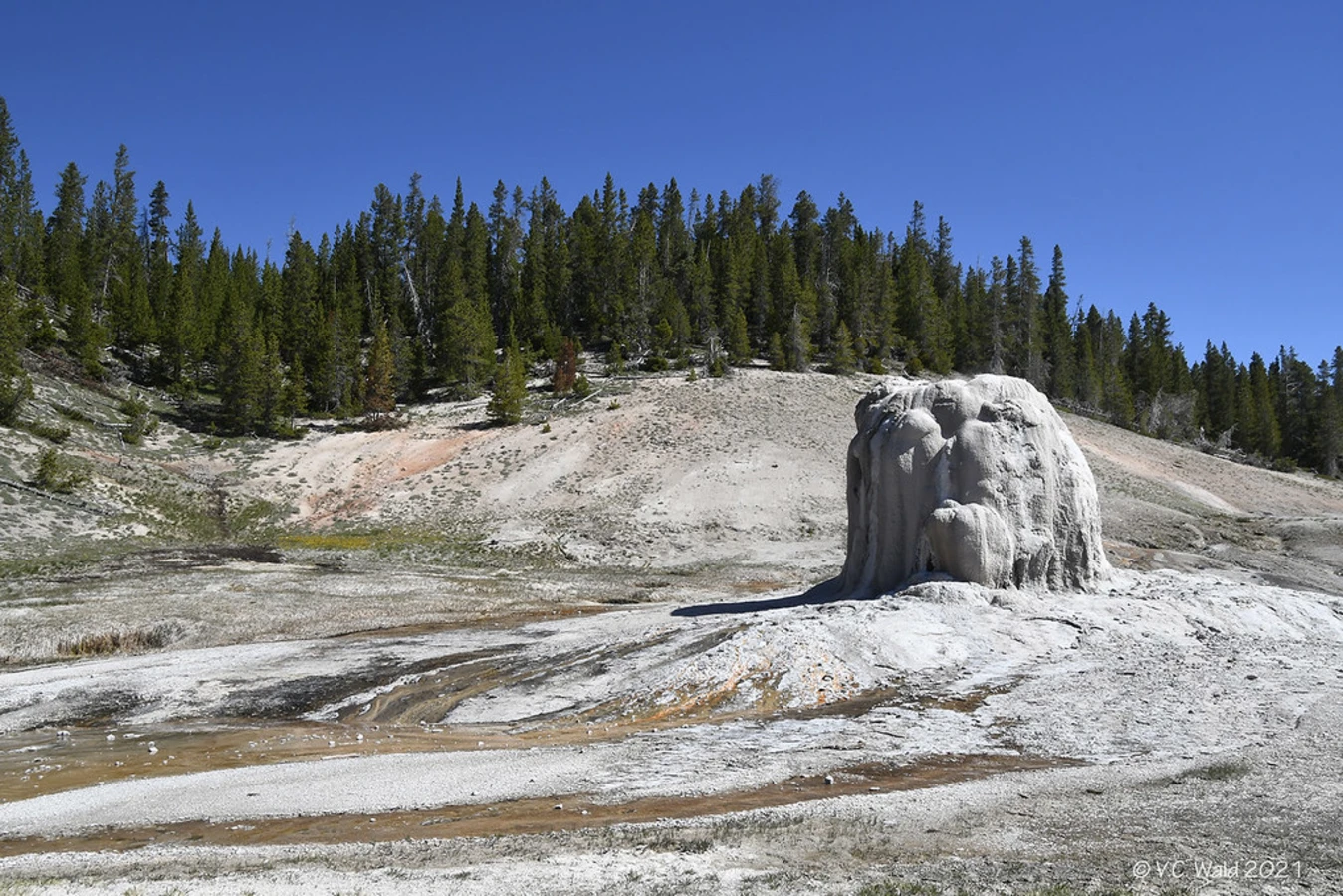 Lone Star Geyser, États-Unis