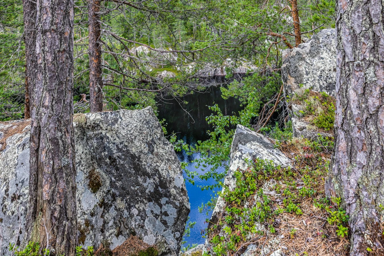 Julma-Olkky, Finlande