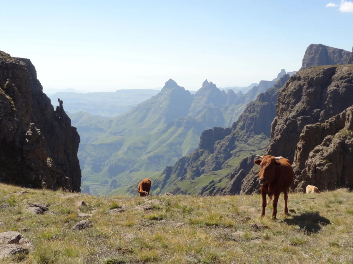 Fangs Pass, Afrique du Sud, Lesotho