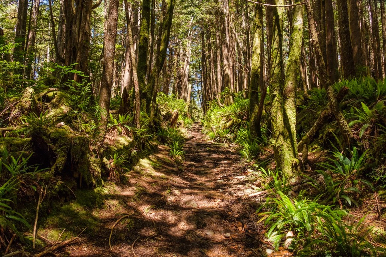 North Coast Trail, Canada