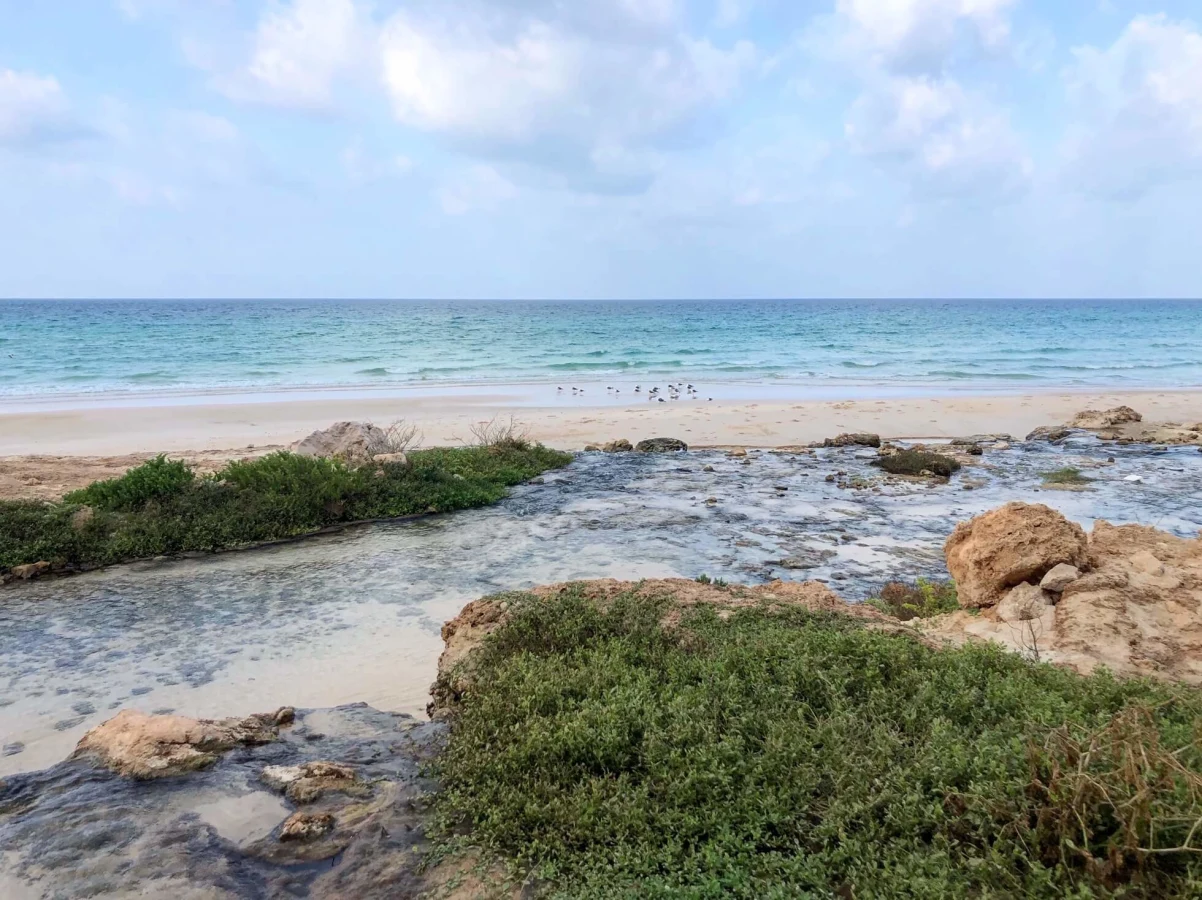 Arher Campsite, Yémen, Socotra