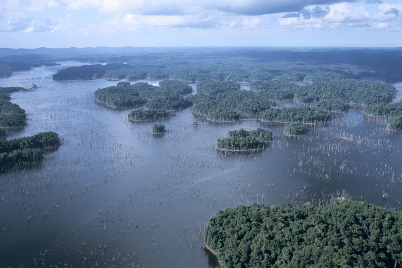 Lac de Petit-Saut, Guyane française