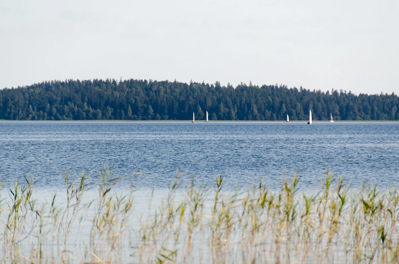 Lac Plateliai, Lituanie
