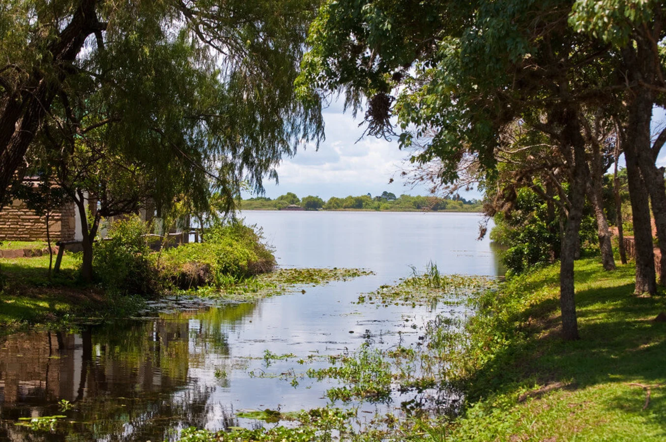 Réserve naturelle de l'Iberá, Argentine