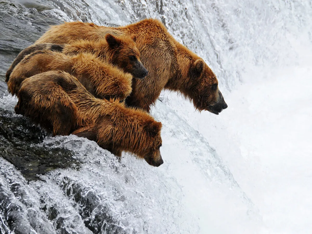 Chutes de Brooks, États-Unis