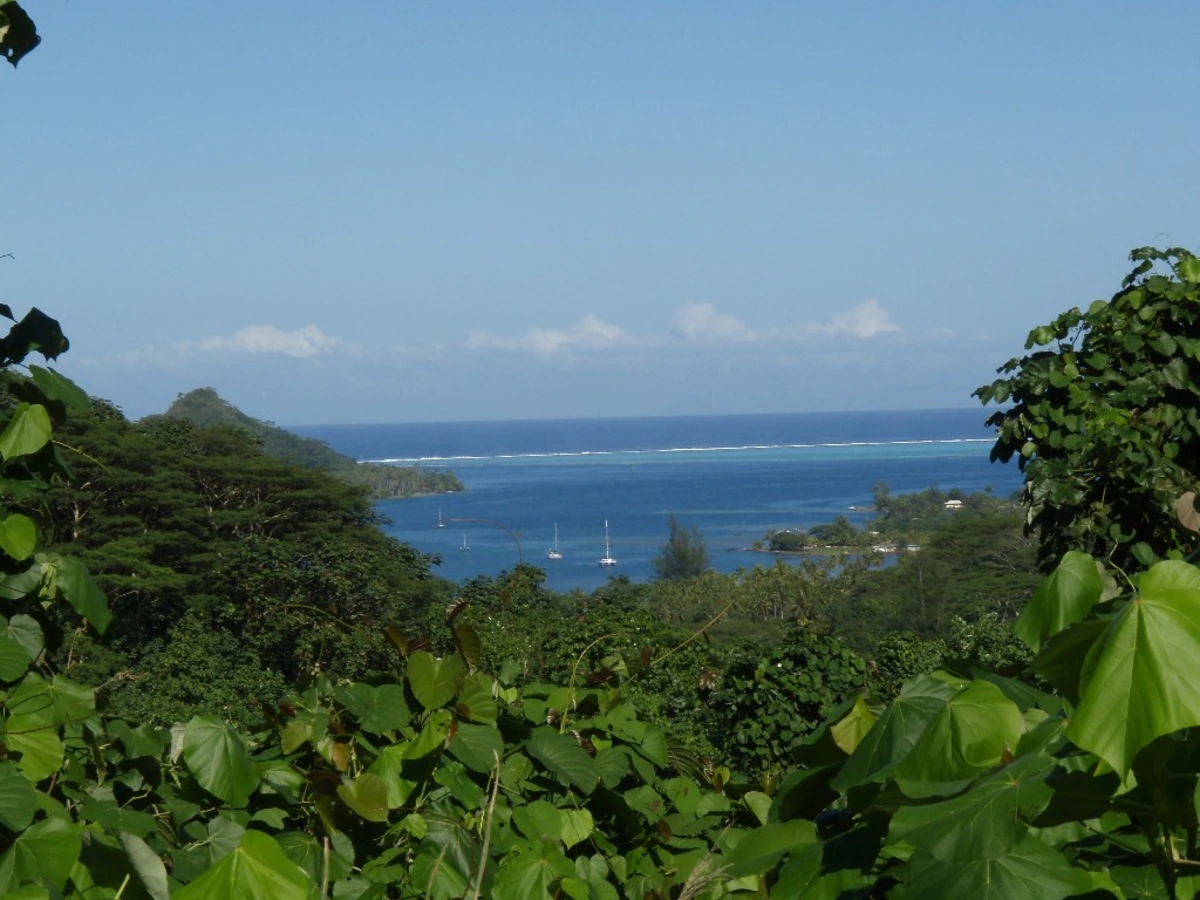 Baie de Hurepiti, Polynésie française