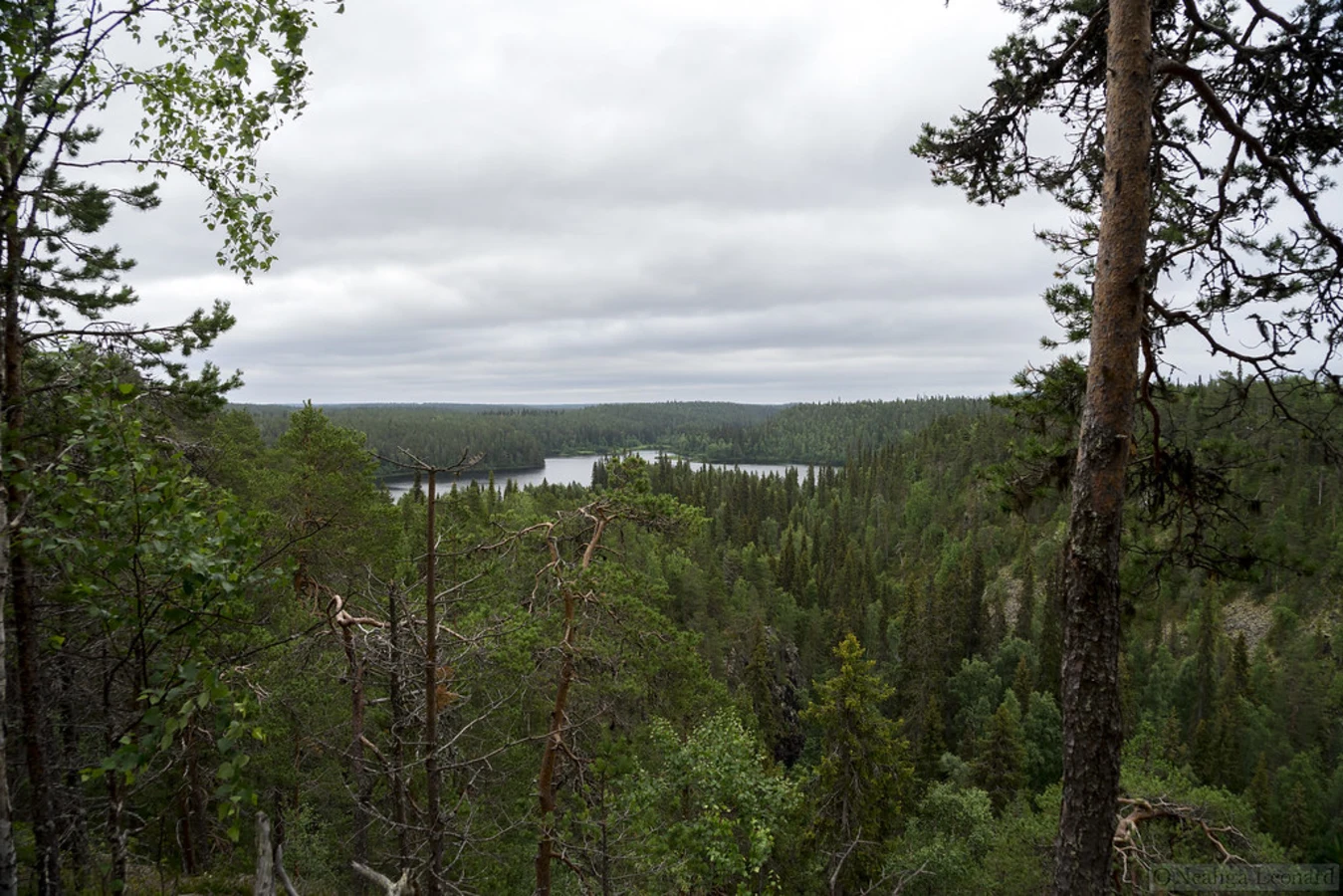 Savilampi, Finlande