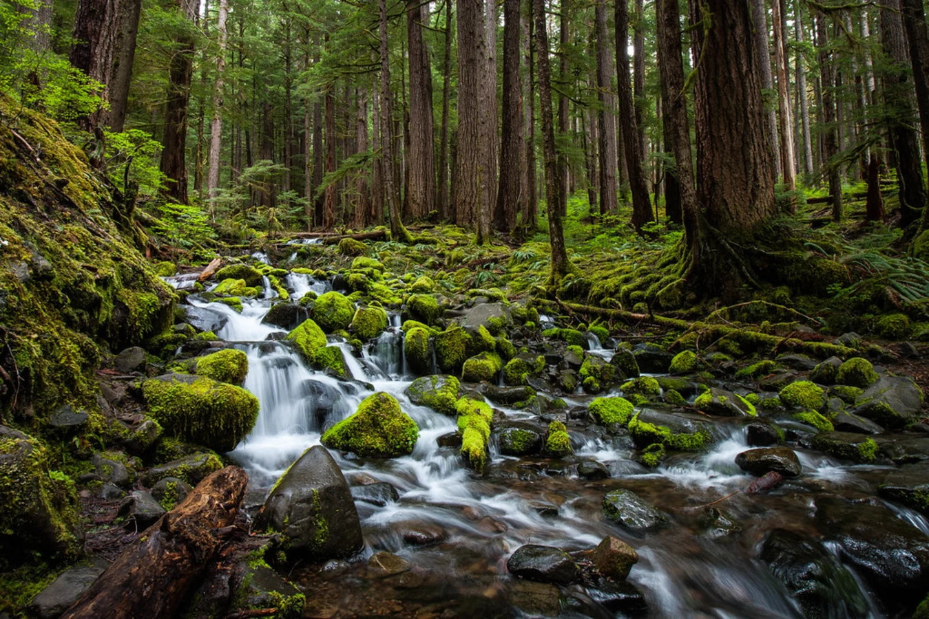 Sol Duc Valley, États-Unis