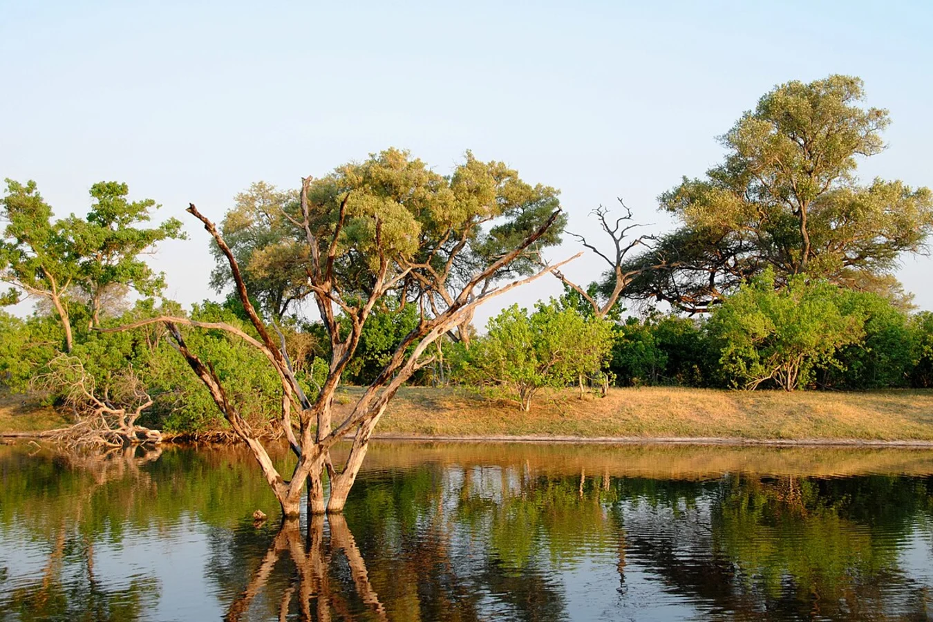Canal de Savuti, Botswana