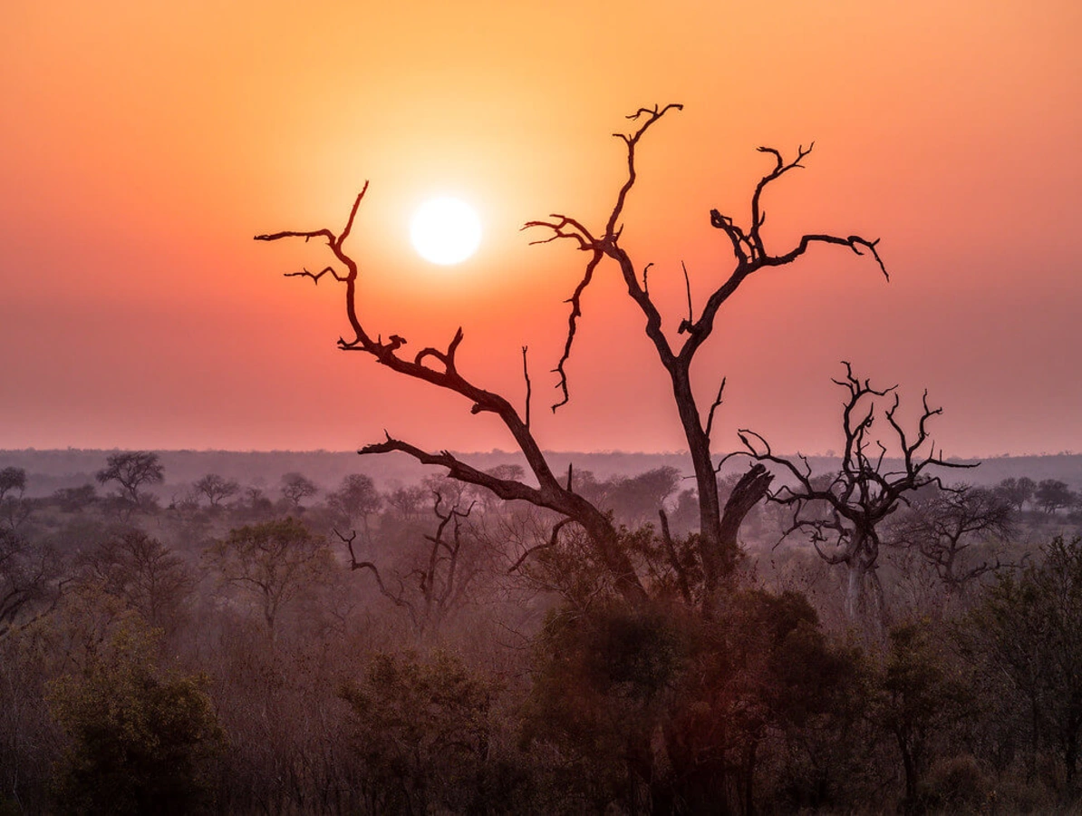 Londolozi Game Reserve, Afrique du Sud