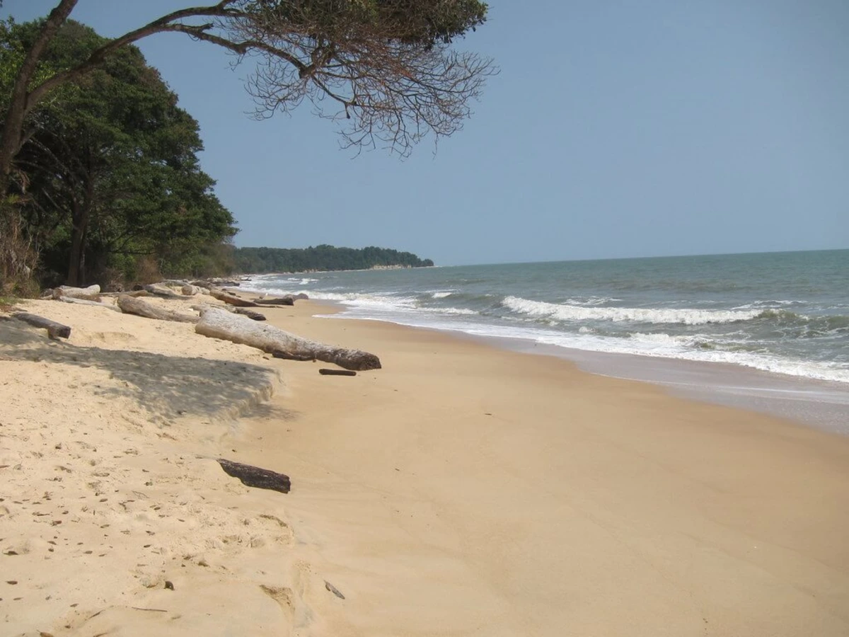 Parc national de Pongara, Gabon