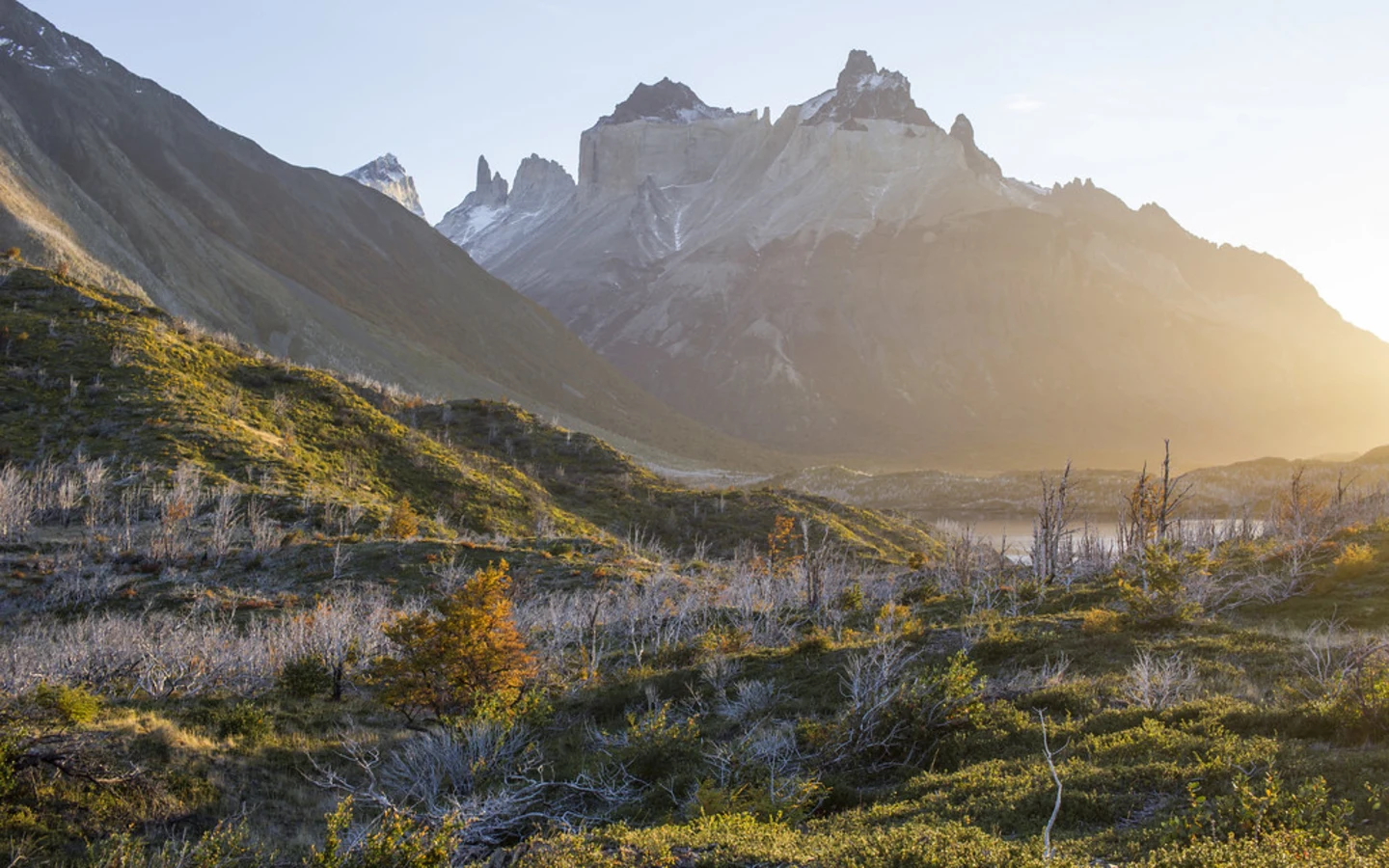 Vallée del Francés, Chili