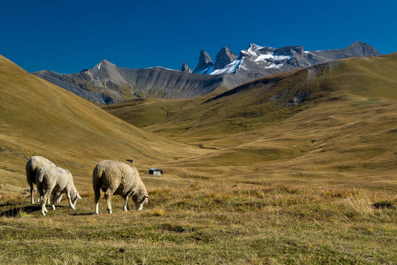 Tour du plateau d'Emparis, France, France