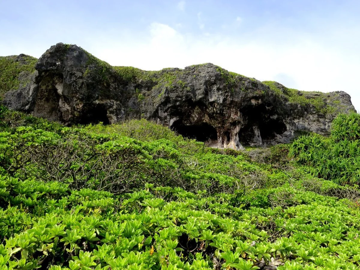 Île Henderson, Îles Pitcairn