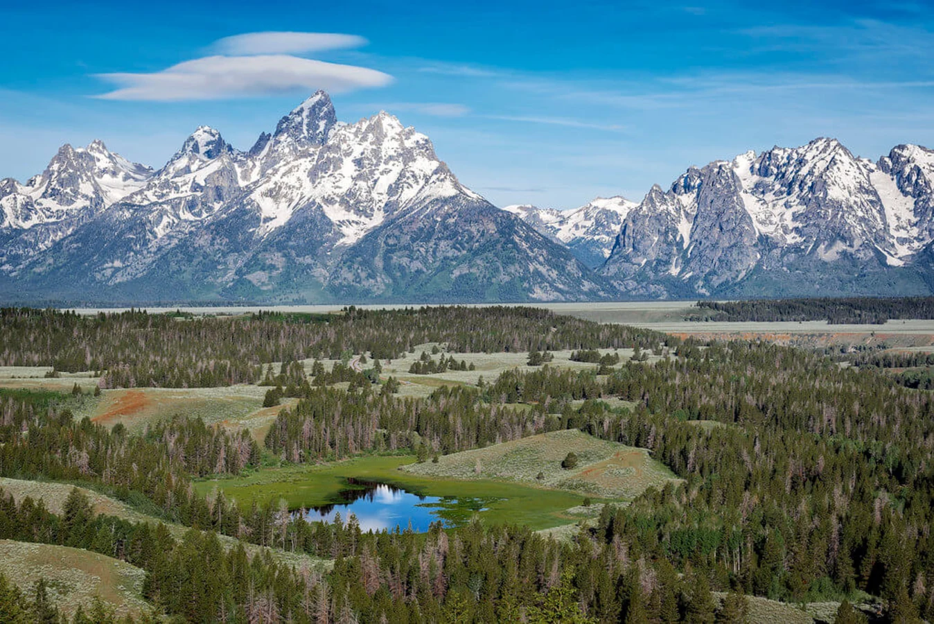Forêt nationale de Shoshone, États-Unis