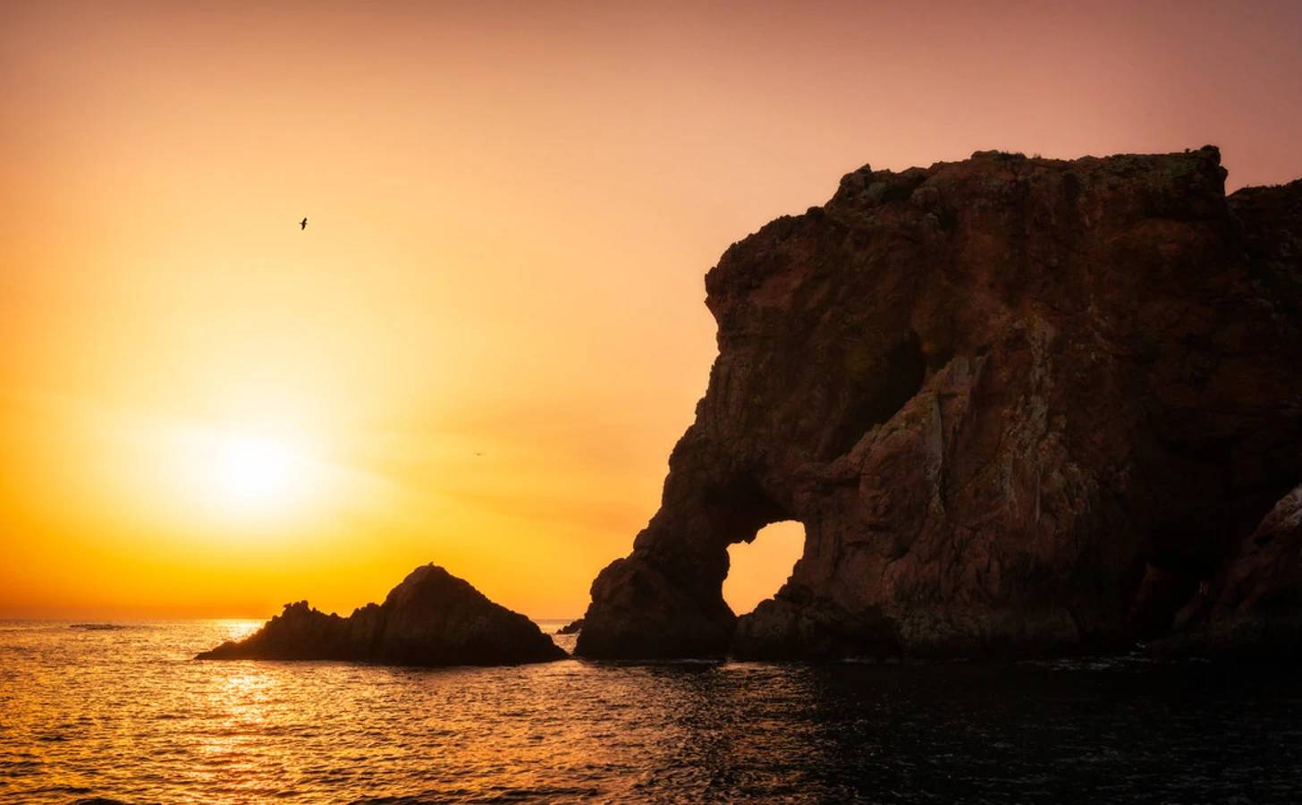 Archipel des Berlengas, Portugal