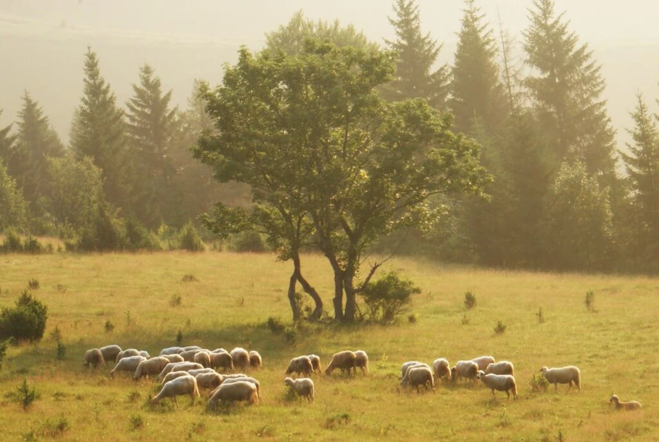 Parc national Bjeshket e Nemuna, Kosovo