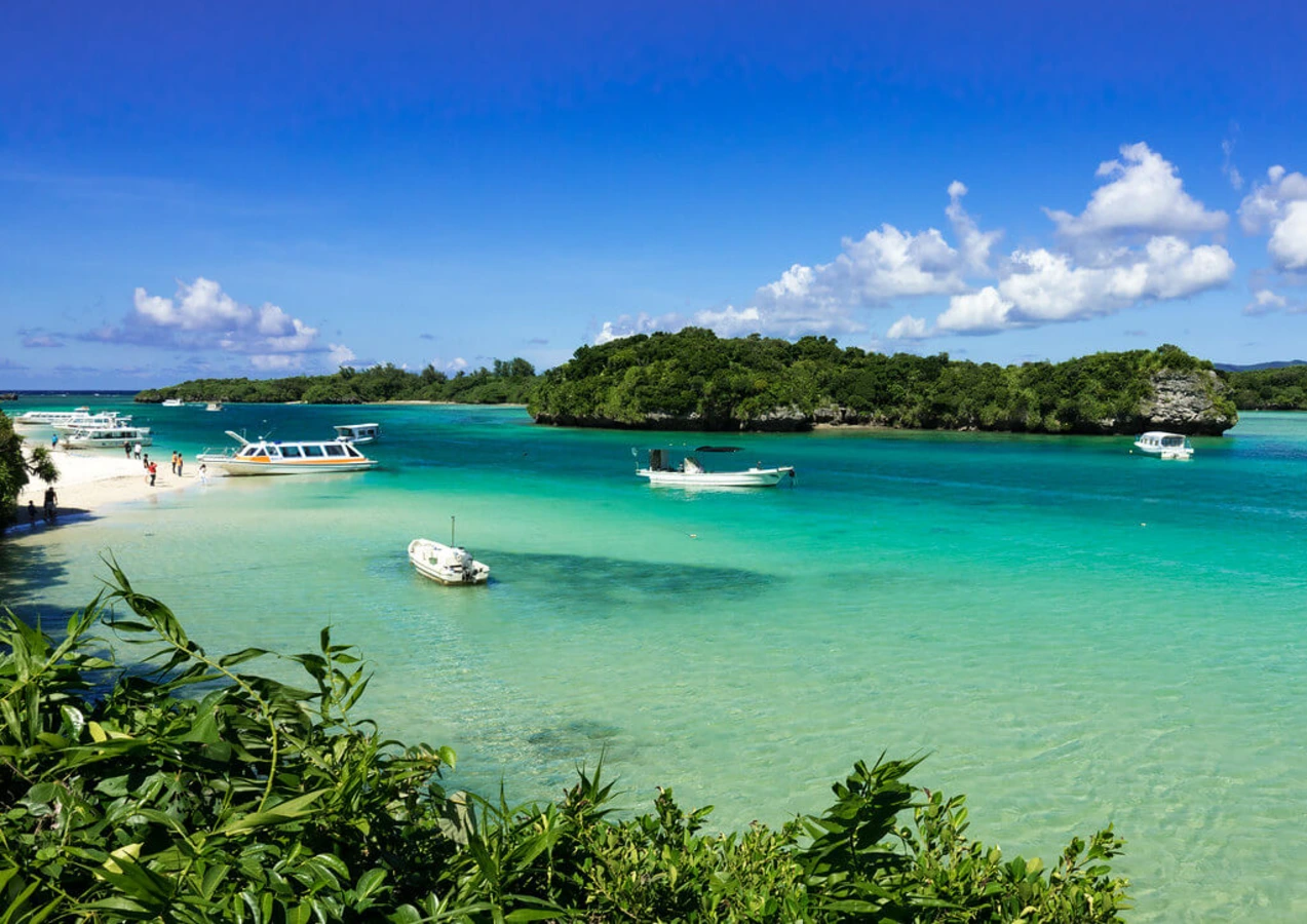 Parc national d'Iriomote-Ishigaki, Japon