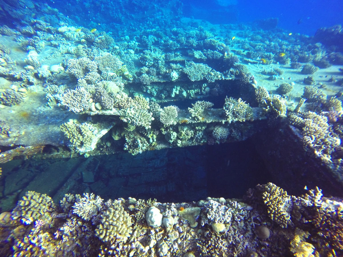 Épave du SS Carnatic, Égypte