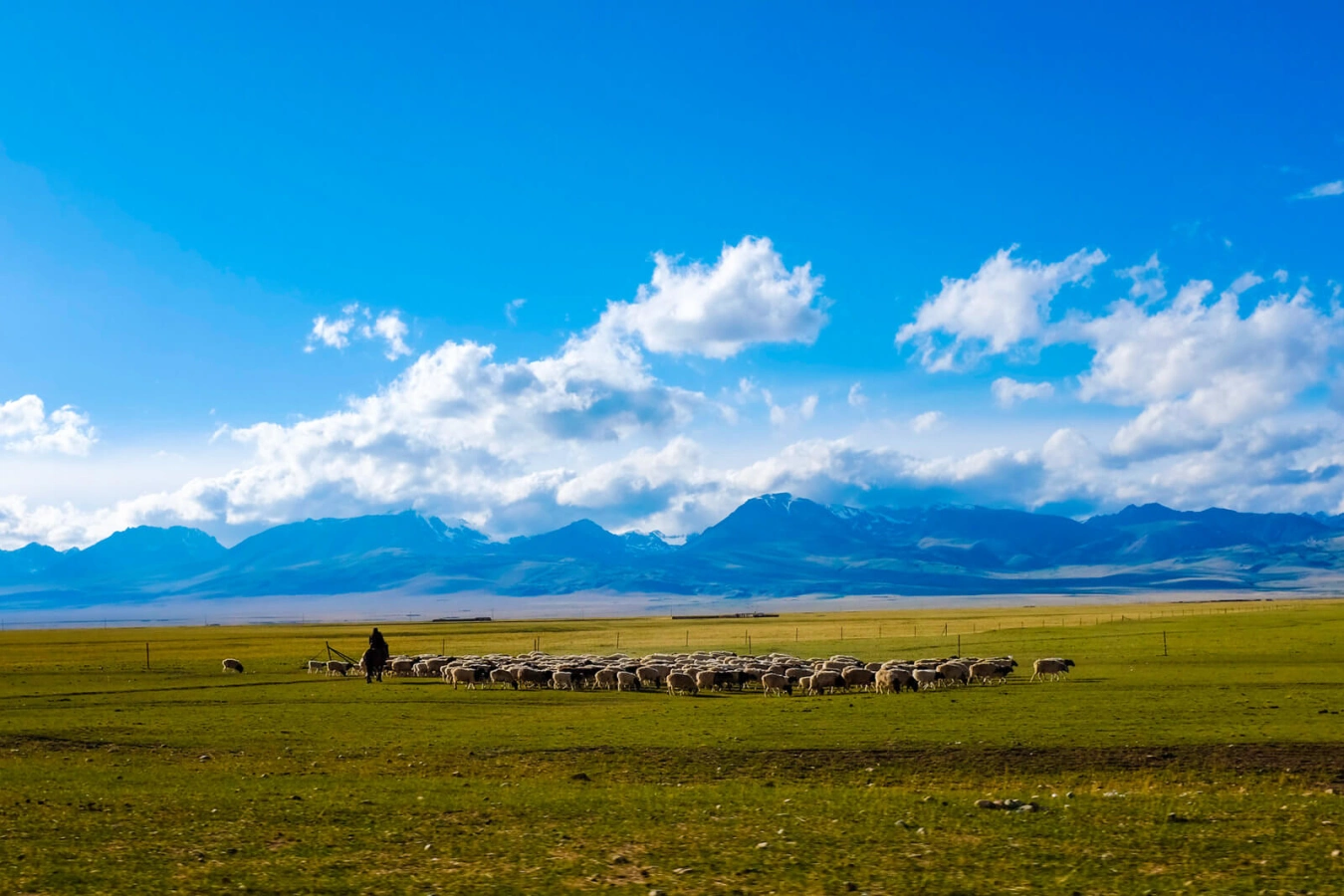 Nalati Grassland, Chine