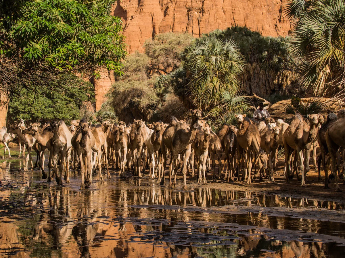 Guelta de Bachikele, Tchad