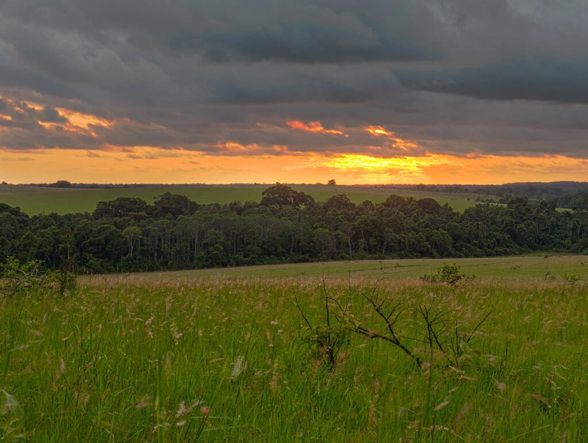 Parc national de Conkouati-Douli, République du Congo